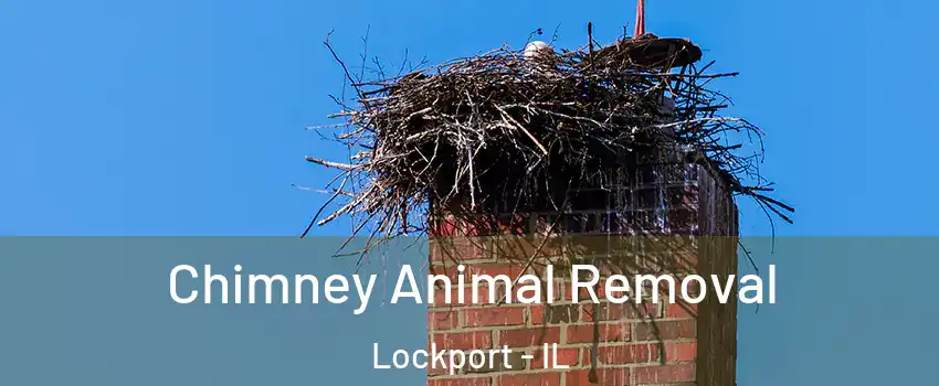  Chimney Animal Removal Lockport - IL