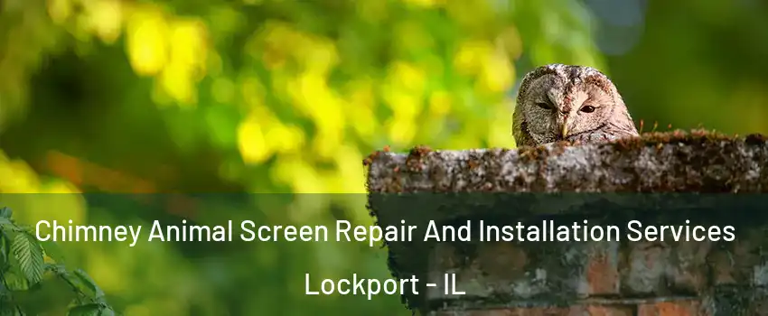  Chimney Animal Screen Repair And Installation Services Lockport - IL