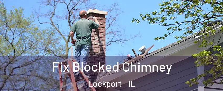  Fix Blocked Chimney Lockport - IL