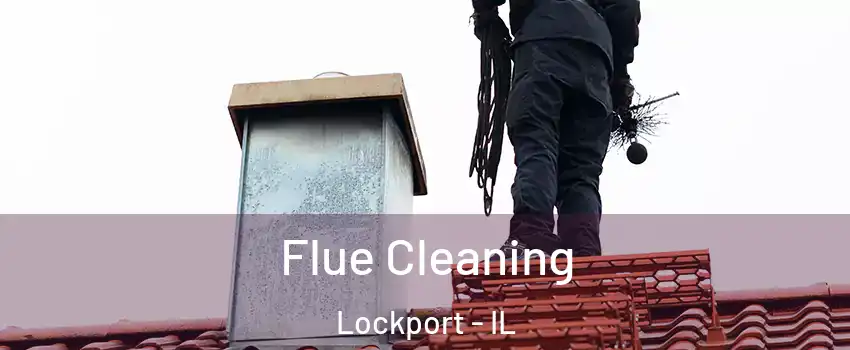  Flue Cleaning Lockport - IL