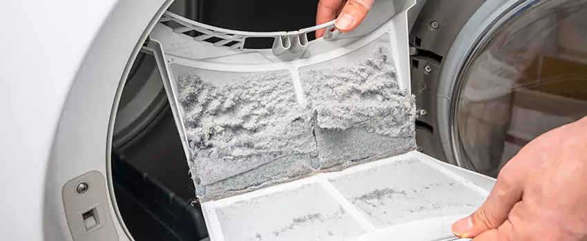 Best Dryer Lint Removal Company in Lockport, Illinois