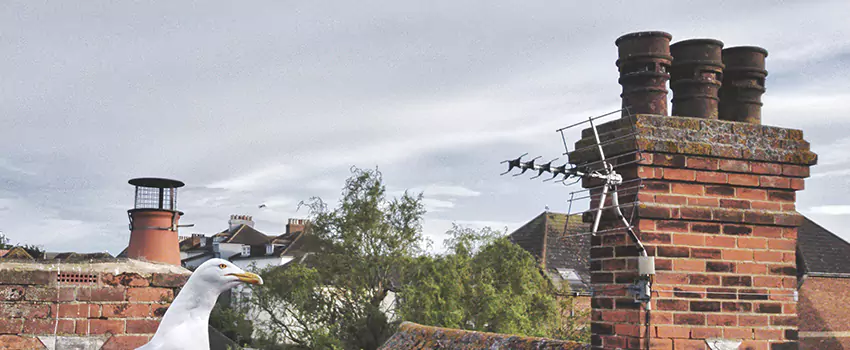 Chimney Cleaning And Restoration in Lockport, Illinois