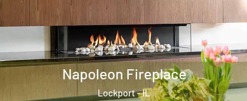  Napoleon Fireplace Lockport - IL